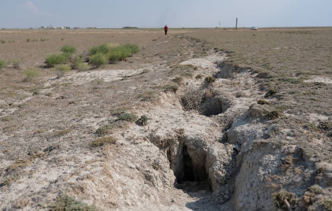 Kuraklığın vurduğu Konya’da korkutan manzara 2